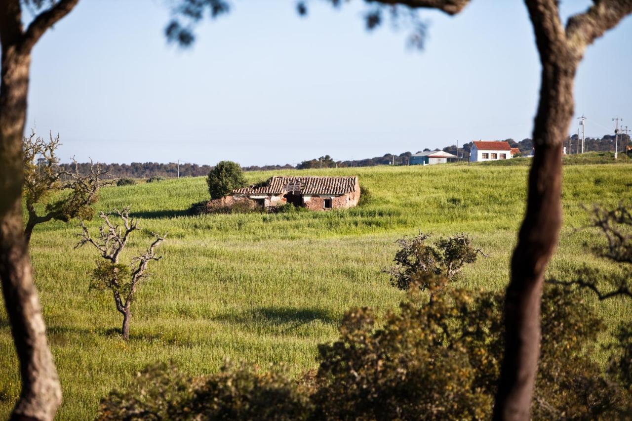 Eco Glamping Portugal Nature Lodge Sao Luis Εξωτερικό φωτογραφία