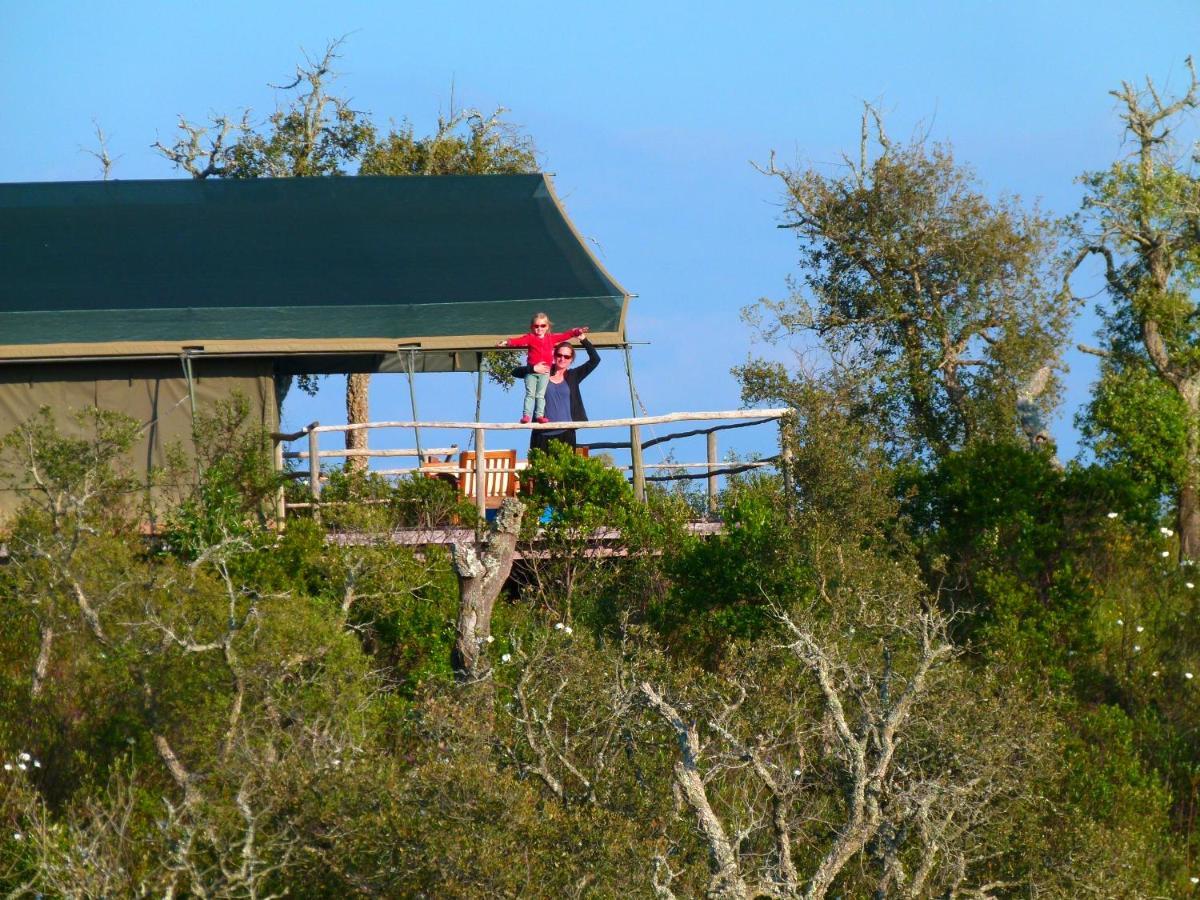 Eco Glamping Portugal Nature Lodge Sao Luis Εξωτερικό φωτογραφία