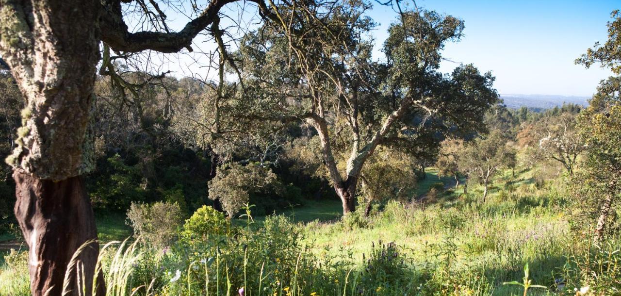 Eco Glamping Portugal Nature Lodge Sao Luis Εξωτερικό φωτογραφία
