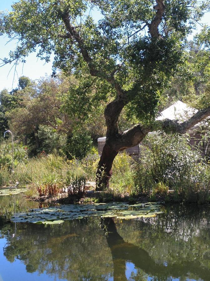 Eco Glamping Portugal Nature Lodge Sao Luis Εξωτερικό φωτογραφία
