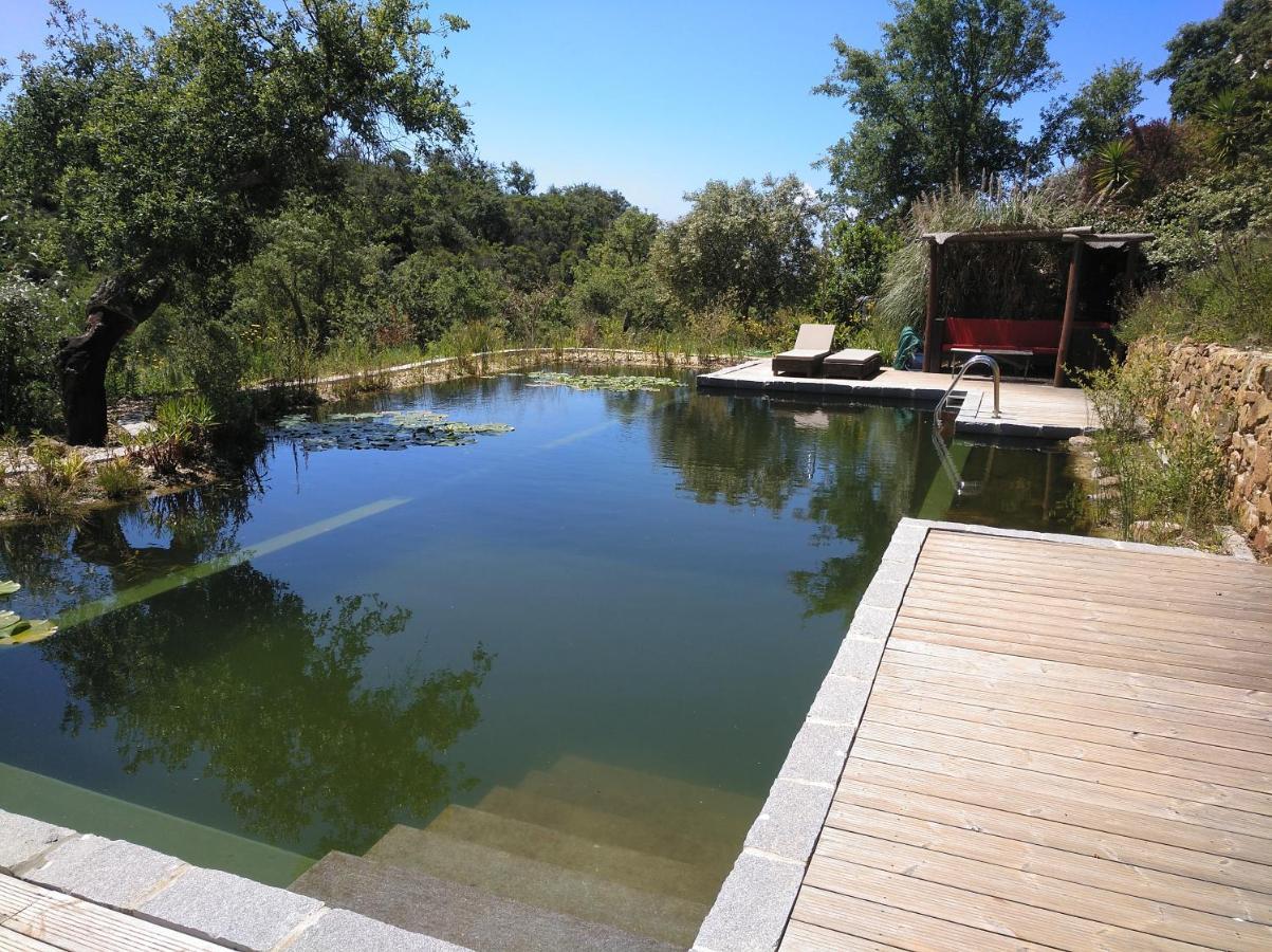 Eco Glamping Portugal Nature Lodge Sao Luis Εξωτερικό φωτογραφία